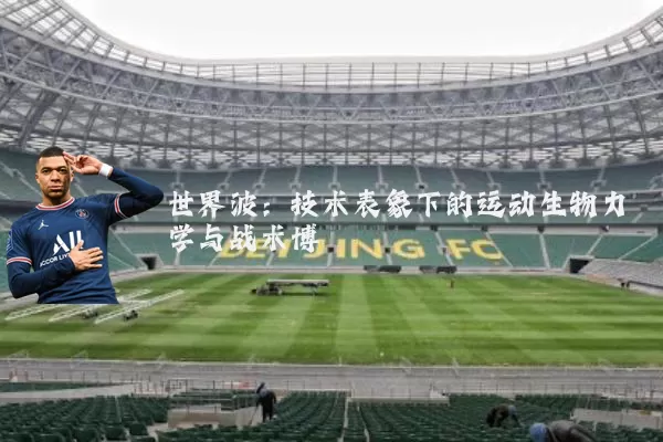 世界波：技术表象下的运动生物力学与战术博弈